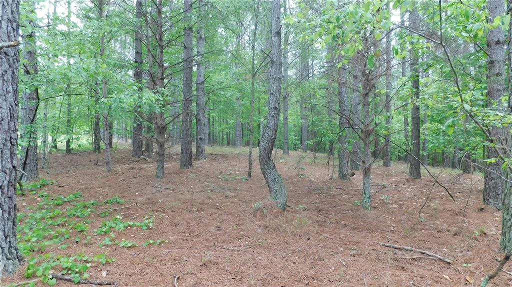 5.59 ACRES LARMON FORKS ROAD, DAHLONEGA, GA 30533, photo 1 of 13