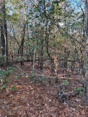 LOT18 FRANCES DRIVE, ELLIJAY, GA 30536, photo 4 of 8