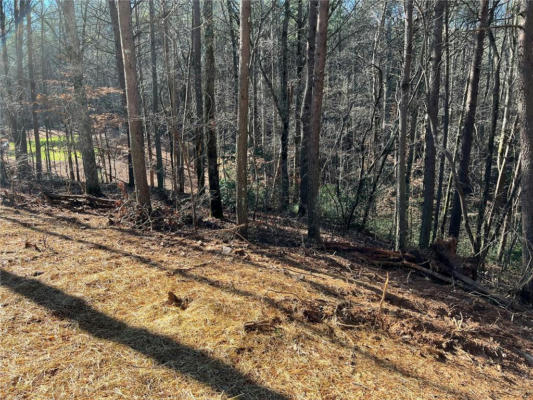 LOT 15 MINERAL SPRINGS ROAD, BALL GROUND, GA 30107, photo 5 of 27