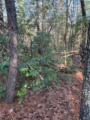 LOT18 FRANCES DRIVE, ELLIJAY, GA 30536, photo 5 of 8