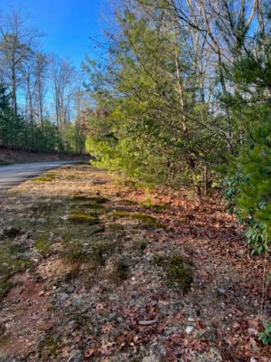 LOT18 FRANCES DRIVE, ELLIJAY, GA 30536, photo 2 of 8