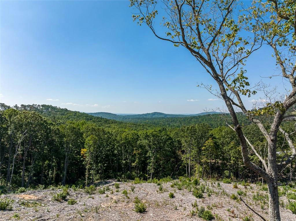 LOT186 HIGHGROVE DRIVE DRIVE, TALKING ROCK, GA 30175, photo 1 of 11